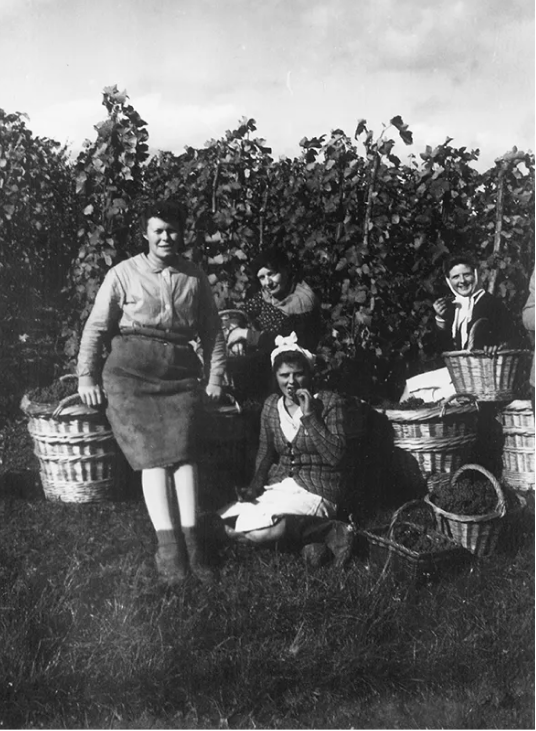 Champagne Minière F&R