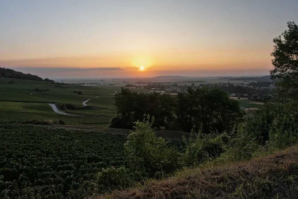 Champagne Minière F&R