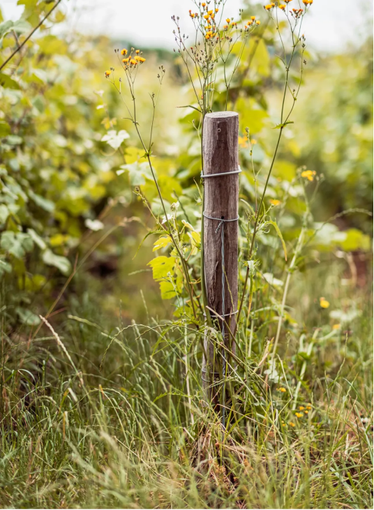 domaine-visuel-poteau